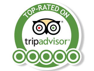 Trip Advisor Logo