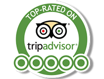 Trip Advisor Logo